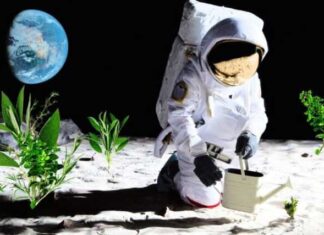 “SpaceX” adamyň Aýyň üstüne gonjak möhletini mälim etdi