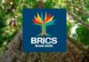 Логотипом БРИКС в Бразилии в 2025 году станет хлопковое дерево сумаума