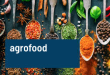 Aşgabatda «Iran Agrofood» atly ýöriteleşdirilen sergi geçiriler