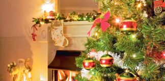 Ýewropada Täze ýyl arçalaryny öndürýän iň iri ýurt