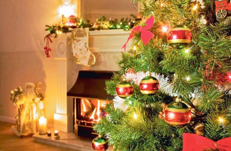 Ýewropada Täze ýyl arçalaryny öndürýän iň iri ýurt