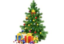 Denmark is one of the largest producers of Christmas trees in Europe