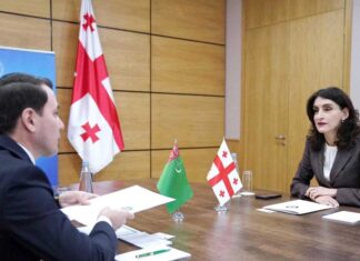 Встреча Посла Туркменистана с Министром иностранных дел Грузии