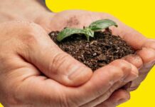 В Ашхабаде прошла встреча по адаптации агросектора к климатическим рискам