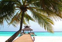 First Trump brand hotel to open in Maldives