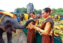 Ilatyň artyşy 2080-nji ýylda togtar