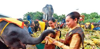 Ilatyň artyşy 2080-nji ýylda togtar