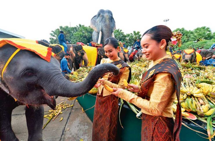 Ilatyň artyşy 2080-nji ýylda togtar