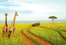 Afrikanyň iň uzyn jandary