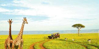 Afrikanyň iň uzyn jandary