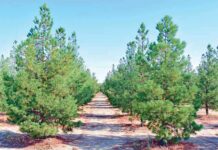 Ekologiýa we daşky gurşaw – abadançylygyň gözbaşy