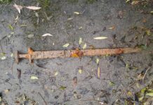 Derýadan 700 ýyllyk gylyç tapyldy