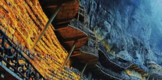 Uçut gaýanyň ýüzünde kitap dükany