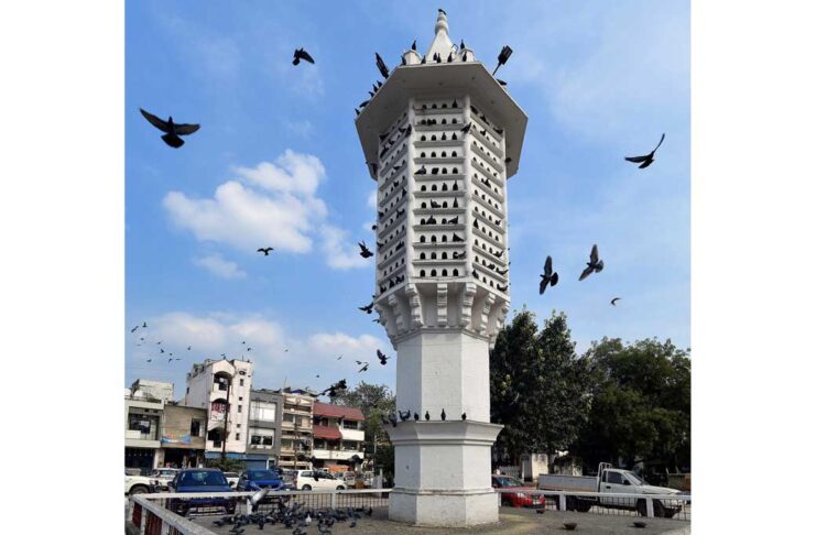 Kepderilere iým bermek gadagan edildi