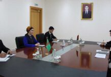 Daşary işler ministriniň orunbasarynyň Palestina Döwletiniň Ilçisi bilen duşuşygy