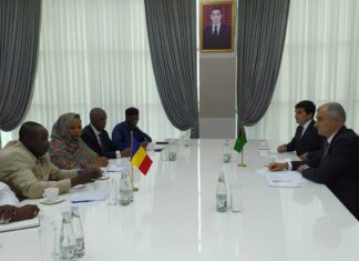 Рассмотрены возможности развития сотрудничества между Туркменистаном и Республикой Чад