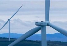 Iki ganatly ýel bekedi