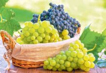 «Atasy üç ýaşynda, ogly bazara gider»