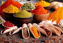 В Туркменистане наладили производство специй SeDi