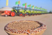 Winter crop sowing has begun in Turkmenistan