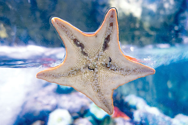 k9GhkpjfAJVPm0Av09e76c0gt9vrMlTu60ev51Y8VW5rjDUu2ToNRI6ynx8r