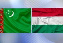 Состоялся телефонный разговор министров иностранных дел Туркменистана и Венгрии