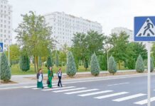 Ýol gözegçiligi – jemgyýetiň howpsuzlygy