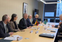 Türkmenistanyň we Litwa Respublikasynyň Daşary işler ministrleriniň orunbasarlarynyň duşuşygy