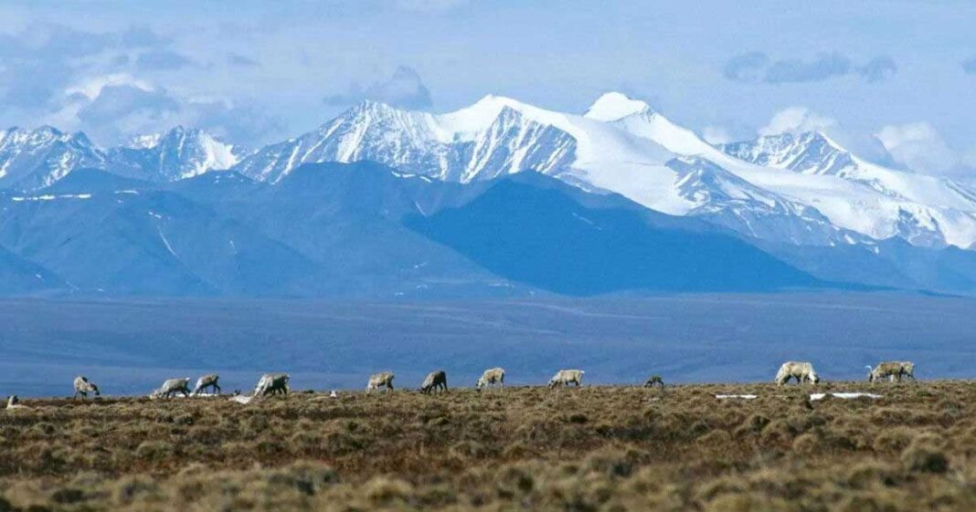 alaska