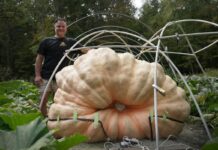 Bir tonnadan agyr kädi