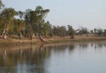 Krokodilli derýada Olimpiýa ýaryşlaryny geçirmek meýilleşdirilýär