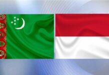 Türkmenistanyň we Indoneziýanyň Daşary işler ministrleri telefon arkaly ikitaraplaýyn hyzmatdaşlygy ara alyp maslahatlaşdylar