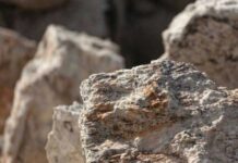 Germaniýada uly litiý ýatagy tapyldy