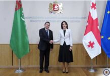 Türkmenistanyň we Gruziýanyň daşary syýasat edaralarynyň ýolbaşçylarynyň arasyndaky gepleşikler