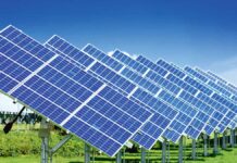 «Ýaşyl» ykdysadyýet – ýurdumyzyň möhüm ugry