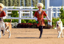 В Туркменистане прошли торжества по случаю Праздника туркменского алабая