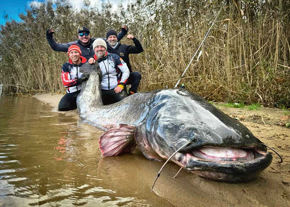 wels_catfish_world_record_poland-fish-balik-lakga-balyk