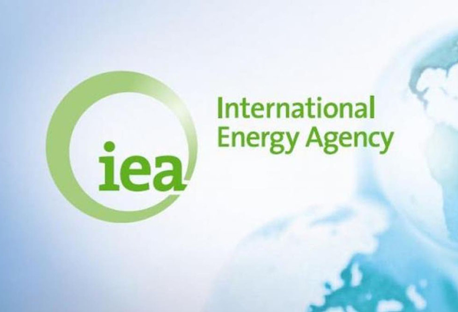 17629333283210154630_1200x630