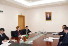 В МИД Туркменистана состоялась встреча с директором ЦАРИКЦ