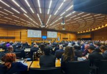 Delegation of Turkmenistan participates in the 65th session of the CTBTO Preparatory Commission