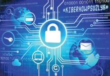 Sanly dolandyryş we kiberhowpsuzlyk