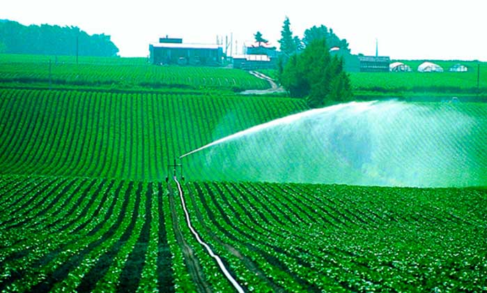 agriculture-water-вода