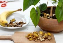 Лайфхаки по использованию банановой кожуры