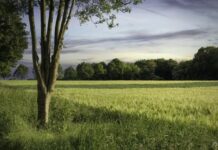 Tebigata has güýçli baglanyşygy bolan ýurtlar