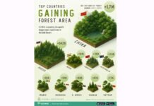 Soňky 10 ýylda planetany iň köp ýaşyllaşdyran ýurtlar