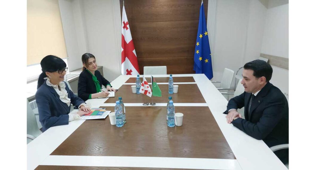 georgia-ambassador-dowlet-seyitmammedow-turkme