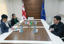 Türkmenistanyň Ilçisiniň Gruziýanyň Döwlet ministri bilen duşuşygy