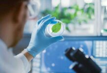 «Ýaşyl» ykdysadyýet täze iş orunlaryny döreder