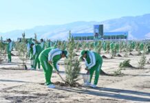 Ýurdumyzda ählihalk bag ekmek dabarasynyň güýzki möwsümine badalga berildi
