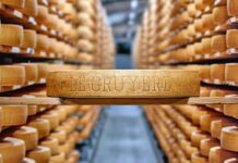 2025-nji ýylyň iň gowy peýniri